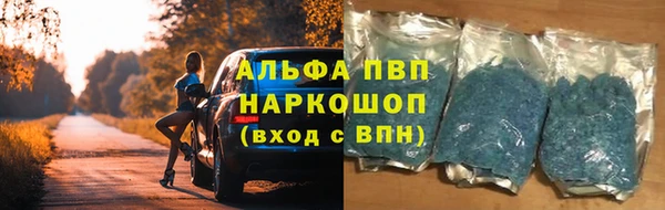 тгк Балахна
