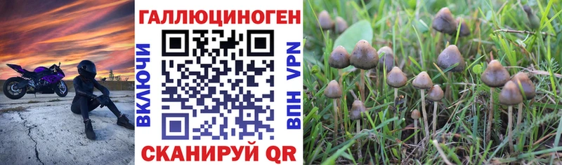 Галлюциногенные грибы Cubensis Богородицк